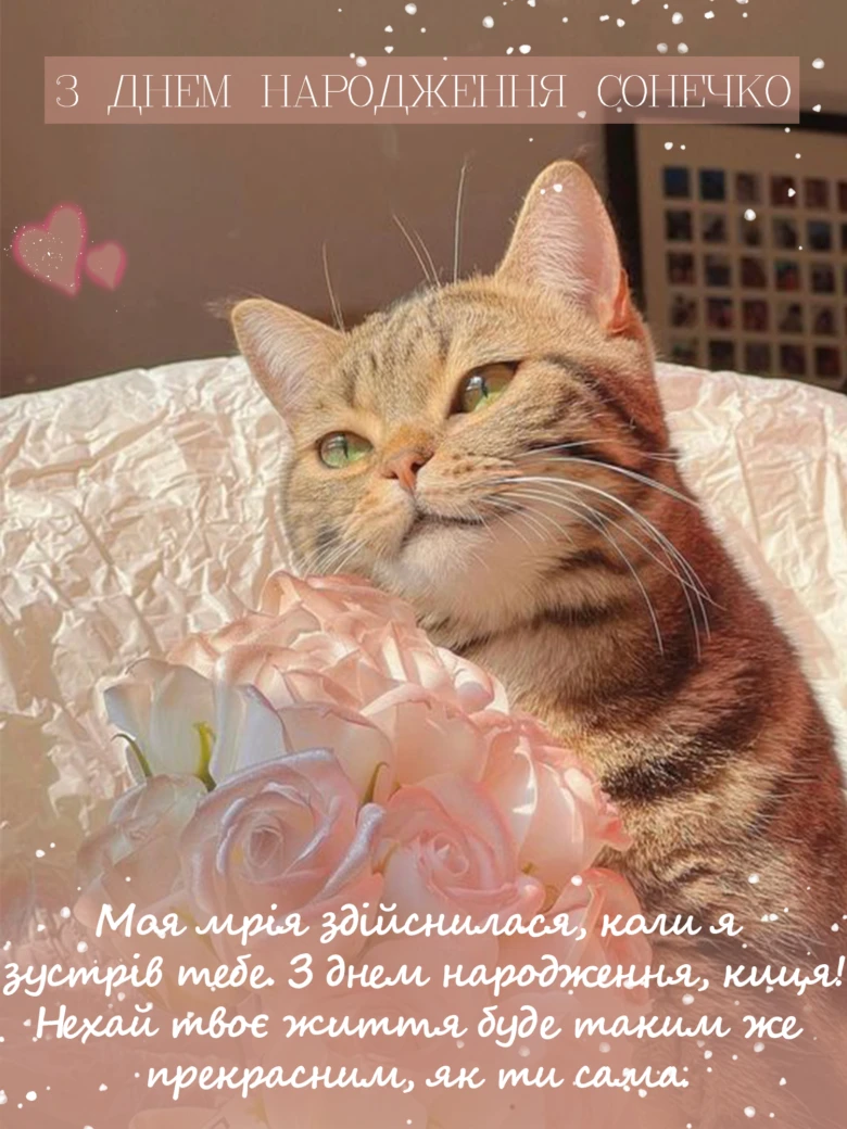 Кіт з рожами та привітанням на день народження.