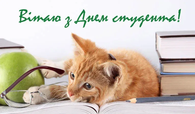 Кіт на книзі з привітанням студенту українською