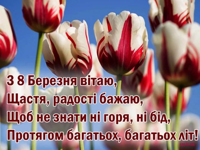 Квіти та привітання з 8 Березня українською мовою.