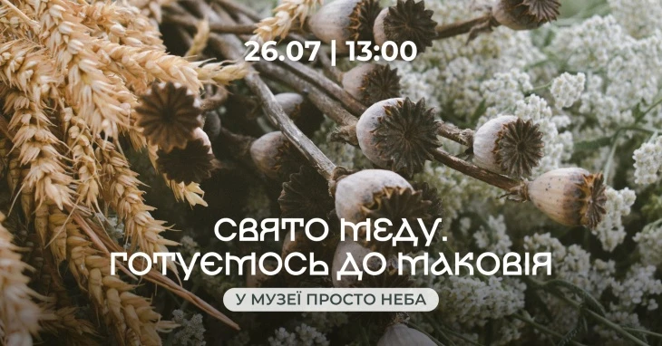 Сушені мак та пшениця на фоні білих квітів