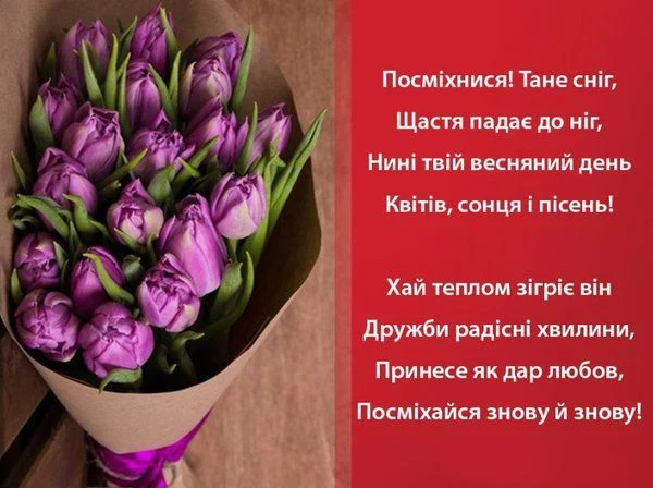 Пурпурові тюльпани та українське привітання на червоному фоні.