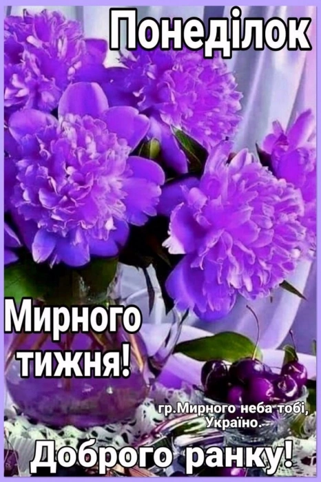 Пурпурні троянди та вишні з привітанням на початку тижня.