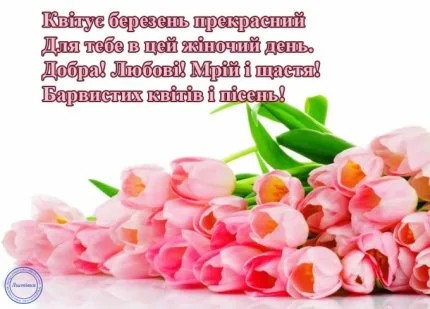 Розові тюльпани та українське привітання на 8 Березня.