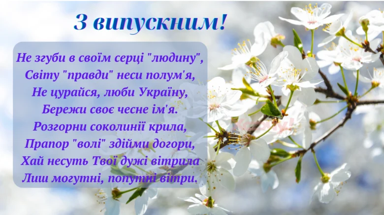 Випускне привітання з квітучою гілкою та українським текстом.
