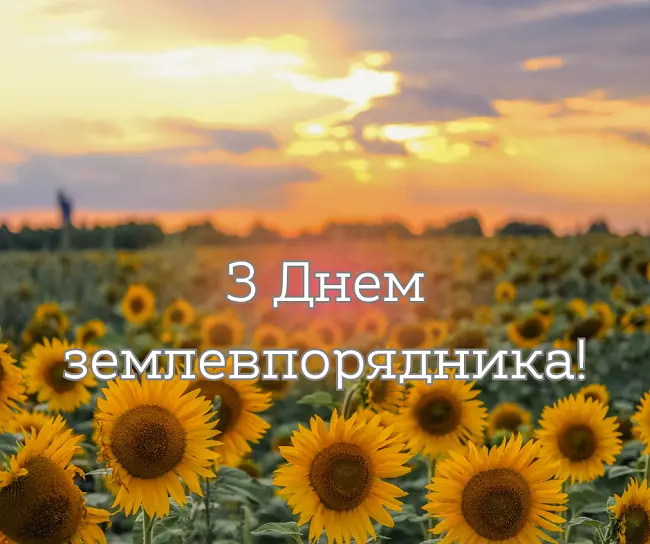 Квіти під сонцем з привітанням землевпоряднику.