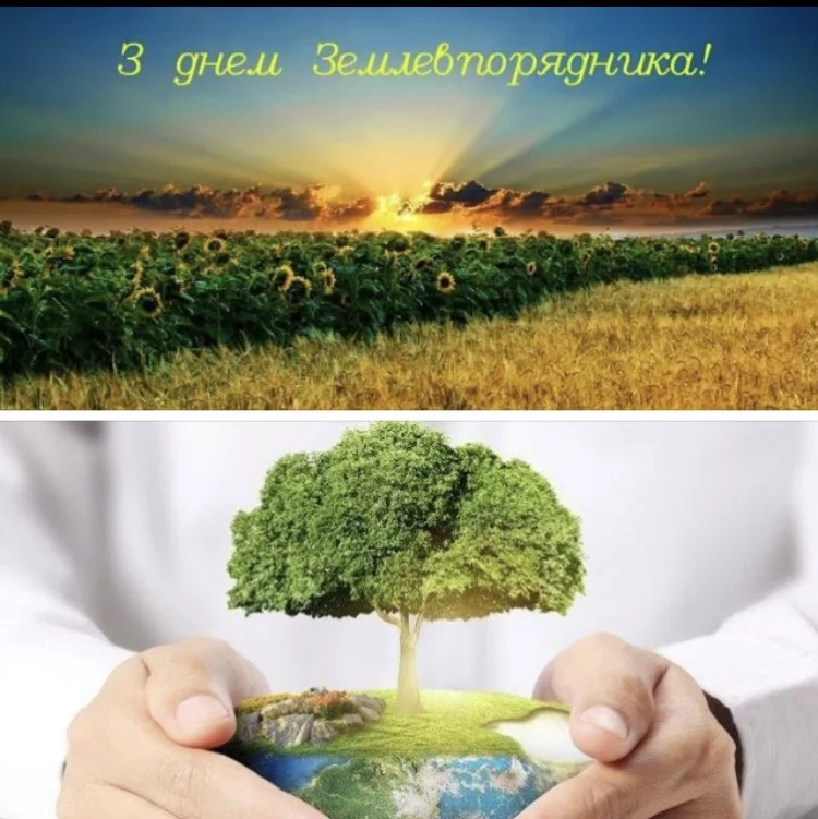 З днем Землевпорядника! Соняшники та дерево на глобусі.