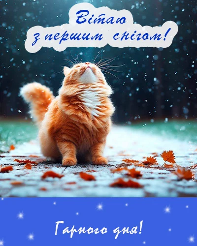 Кіт на сніжному подвір'ї з привітанням першим снігом.