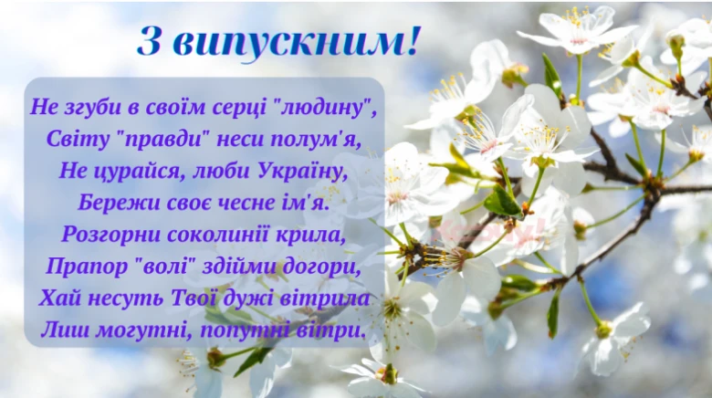 Випускне привітання з білими квітами та українським текстом.