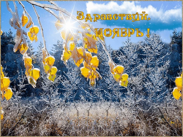 Осінній пейзаж з жовтими листям та морозом на фоні синього неба.