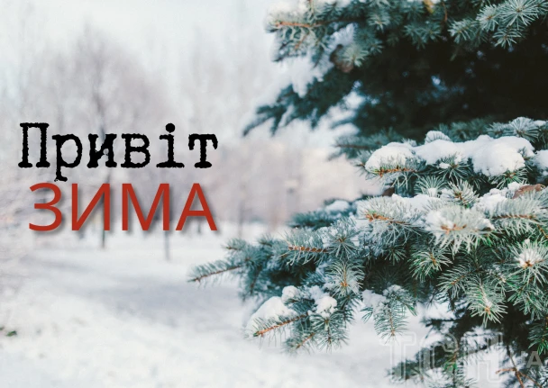 Сніжне хвойне дерево з привітом на перший день зими