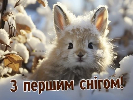 Мішка в снігу з привітанням на перший сніг