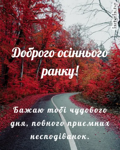 Дорога в осінньому лісі з червоними листям